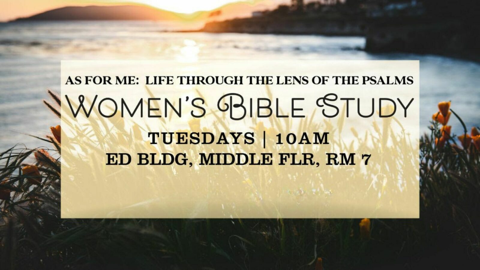 TUESDAY MORNING WOMEN'S BIBLE STUDY