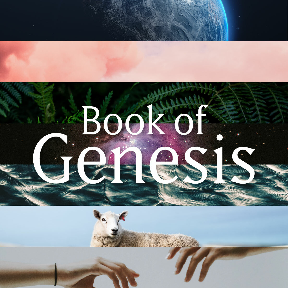 Genesis web reading teaser